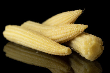 Group of four whole baby yellow corn isolated on black glass