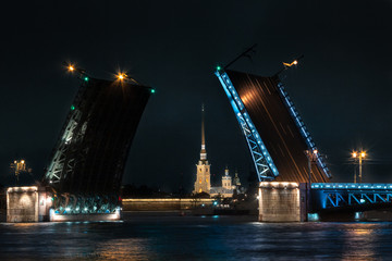 Fototapeta na wymiar Night St. Petersburg. Palace bridge the raised bridge