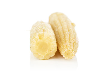 Group of two whole baby yellow corn isolated on white background