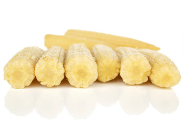 Group of eight whole baby yellow corn isolated on white background
