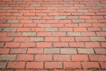 Empty brick sidewalk