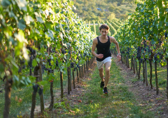 jogger running uphill in beautiful nature with view