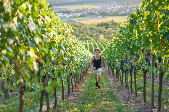 jogger running uphill in beautiful nature with view