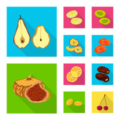 Vector illustration of fruit and dried sign. Collection of fruit and food stock vector illustration.