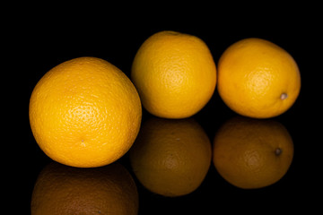 Group of three whole fresh bright orange isolated on black glass