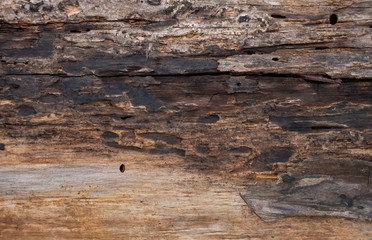 Weathered Wood Rustic Peeling Background