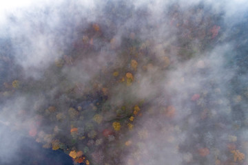 Top down view of fog clouds and forest underneath.