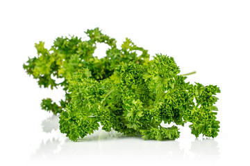 One whole fresh green parsley front focus isolated on white background