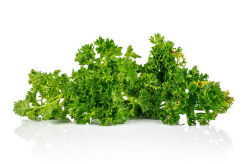 One whole fresh green parsley heap isolated on white background