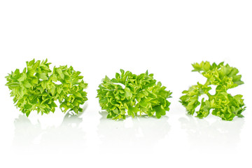 Group of three pieces of fresh green parsley isolated on white background