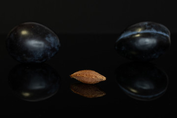 Group of two whole fresh purple plum with one drupe isolated on black glass