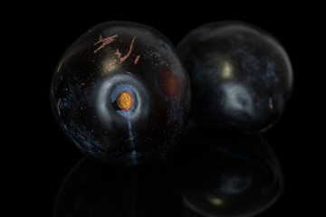 Group of two whole fresh purple plum front focus isolated on black glass