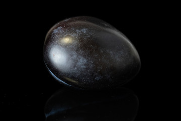 One whole fresh purple plum isolated on black glass