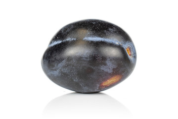 One whole fresh purple plum isolated on white background