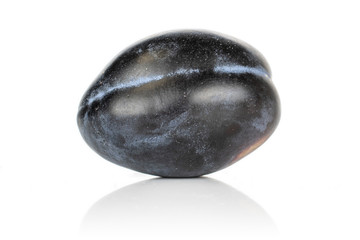 One whole fresh purple plum isolated on white background