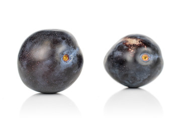 Group of two whole fresh purple plum isolated on white background