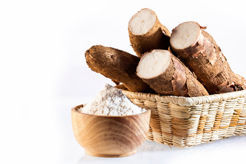 Manihot esculenta (cassava, yuca, manioc, mandioca, Brazilian arrowroot)
