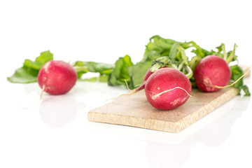 Group of three whole fresh red radish on wooden board isolated on white background