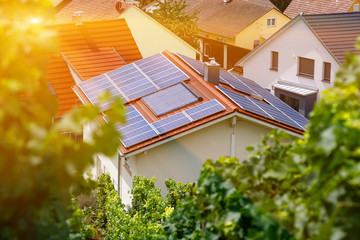 Solar panels on the tiled roof of the building in the sun. Top view through grape leaves. For alternative energy design. Selective focus. © LariBat