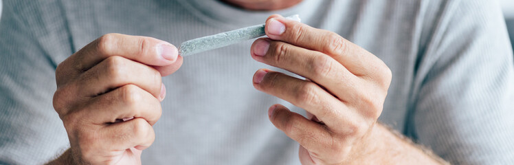 panoramic shot of man rolling blunt with medical cannabis