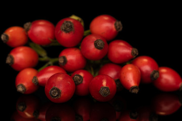 Lot of whole fresh red rosehip isolated on black glass