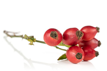 Group of six whole fresh red rosehip isolated on white background