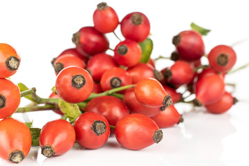 Lot of whole bright fresh red rosehip cluster isolated on white background