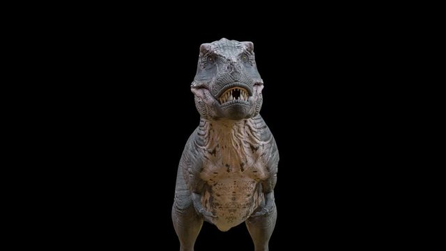 tyrannosaurus rex on black background