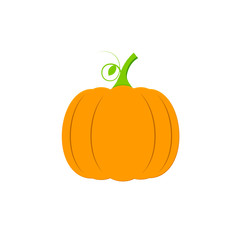Pumpkin icon, flat design template, Halloween symbol, Thanksgiving Day sign, vector illustration