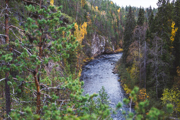 Autumn view of Oulanka National Park landscape, during hiking, a finnish national park in the...