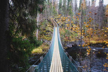 Autumn view of Oulanka National Park landscape, during hiking, a finnish national park in the...