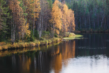 Fototapeta na wymiar Autumn view of Oulanka National Park landscape, during hiking, a finnish national park in the Northern Ostrobothnia and Lapland regions of Finland
