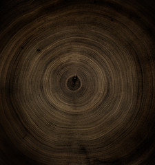 Fototapeta na wymiar Dark brown sepia end cut tree surface. Detailed sanded texture of felled tree trunk or stump. Smooth organic texture of tree rings with close up of end grain.