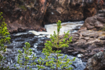 Autumn view of Oulanka National Park landscape, during hiking, a finnish national park in the Northern Ostrobothnia and Lapland regions of Finland