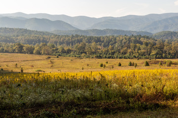 Cades Cove. Great Smoky Mountains National Park