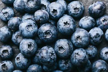 Fresh blueberry background. Texture blueberry berries close up. Vegan and vegetarian concept.