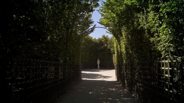 Tracking shot of coming into Versailles gardens alley with statues going out of alleys with bushes alley