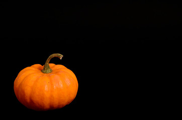 pumpkin on black. Top view of fresh whole pumpkin with copy space on black background. 