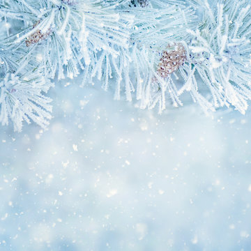 Square Blurred Delicate Nature Winter Christmas background