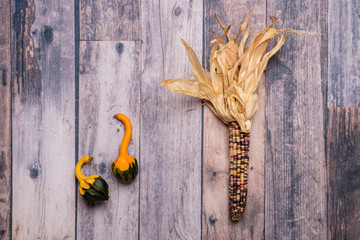 Autumn Scene with pumpkin, gourd, leaves, Indian corn on wooden backdrop