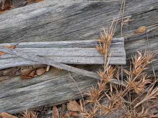 Old Cracked Splintered Wood With Weeds