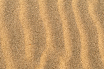 Texture of the soft sand 