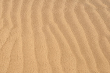 Fototapeta na wymiar Texture of golden sand