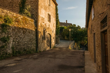 Fototapeta na wymiar Cityscape of the fortified medieval village of Volpaia in the municipality of Radda in Chianti in the province of Siena Italy.