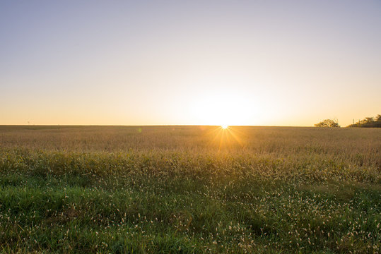 Sunrise Over Field