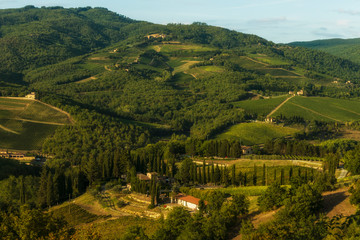 Vineyard near Volpaia town in Chianti region in province of Siena. Tuscany landscape. Italy