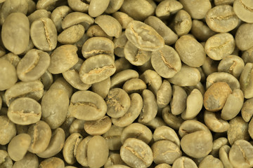 コーヒー生豆　アップ