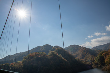 もみじ谷大吊橋
