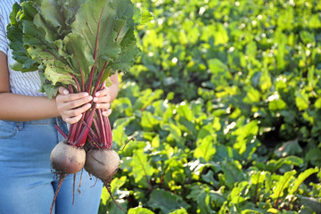 Female farmer with gathered beetroots in field