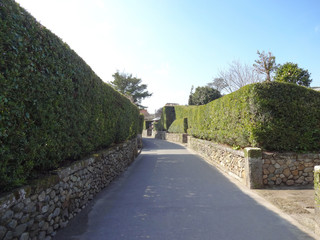 知覧町の武家屋敷通り（鹿児島県南九州市）,Chiran samurai residence district(Minamikyushu City,Kagoshima Pref,Japan)